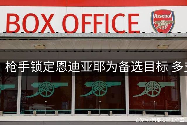 枪手锁定恩迪亚耶为备选目标 多支英超劲旅展开争夺